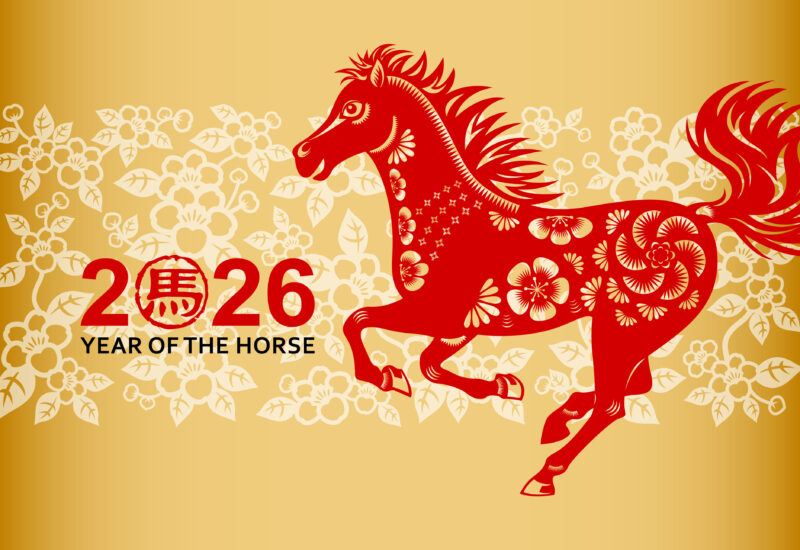 Chinese New Year Horse