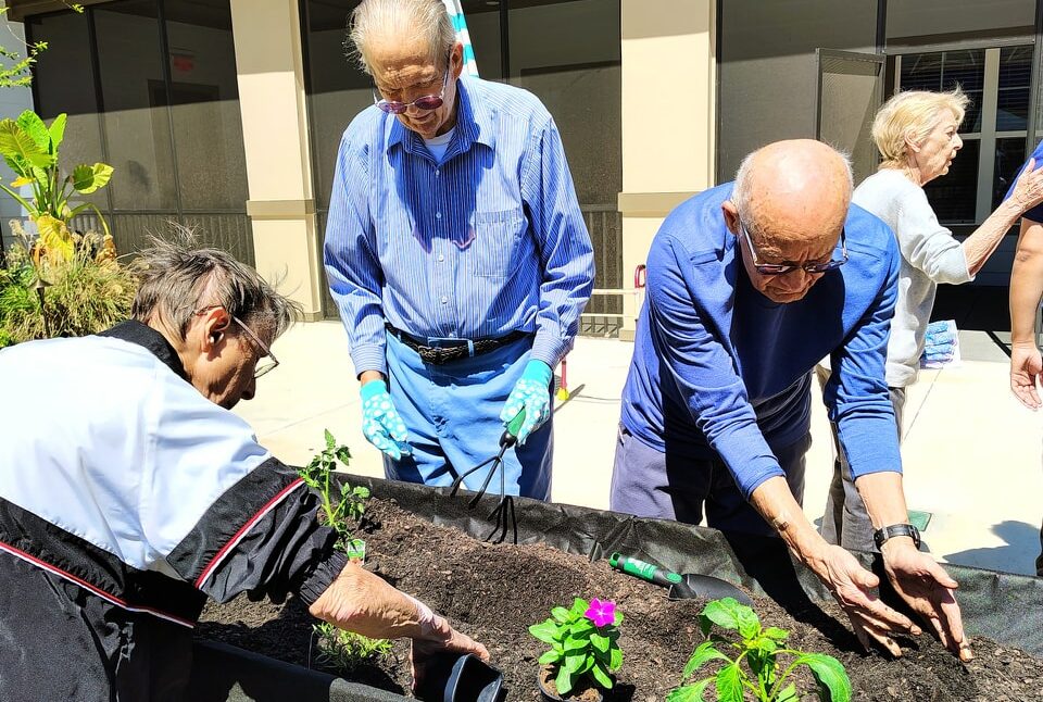 3202025 - Spring Garden4 - Arya at DeBary