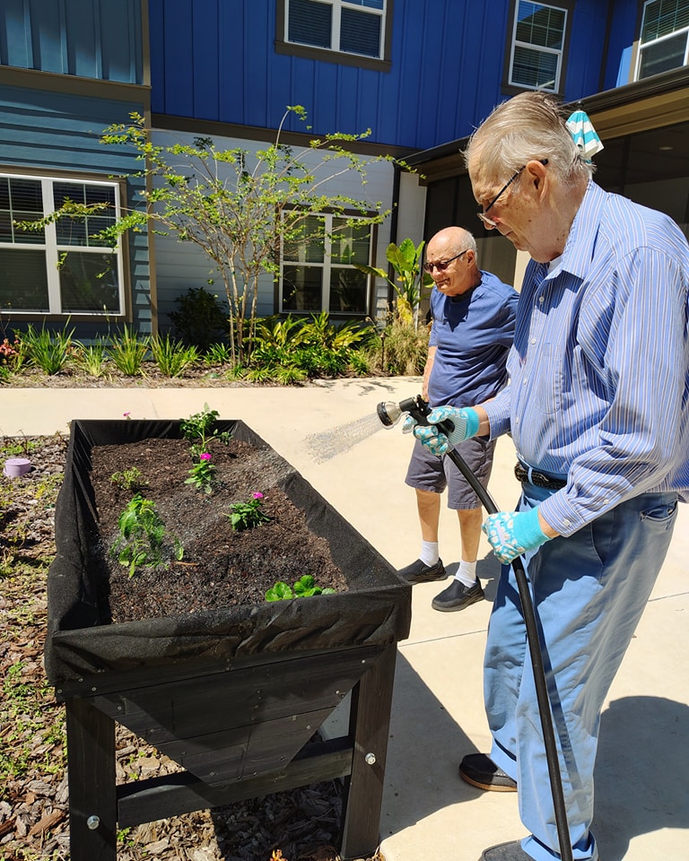 3202025 - Spring Garden5 - Arya at DeBary